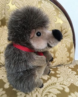 Original Steiff, Igel Jogi, Knopf im Ohr, Ahorn1, Entrümpelung Mainz