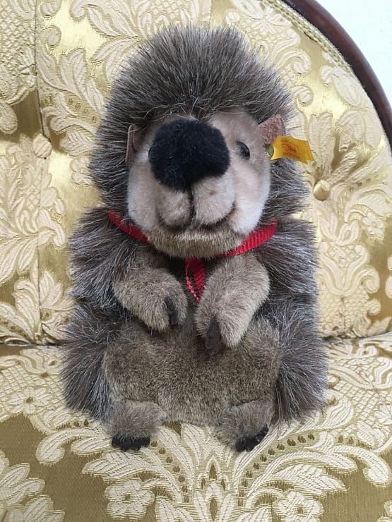 Original Steiff, Igel Jogi, Knopf im Ohr, Ahorn1, Entrümpelung Mainz