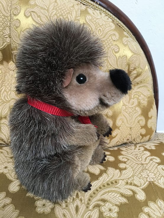 Original Steiff, Igel Jogi, Knopf im Ohr, Ahorn1, Entrümpelung Mainz